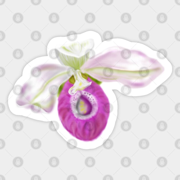 Lady Slipper Orchid Digital Art Sticker by H. R. Sinclair
